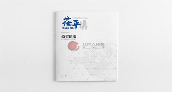 聊城茌平经济开发区画册设计